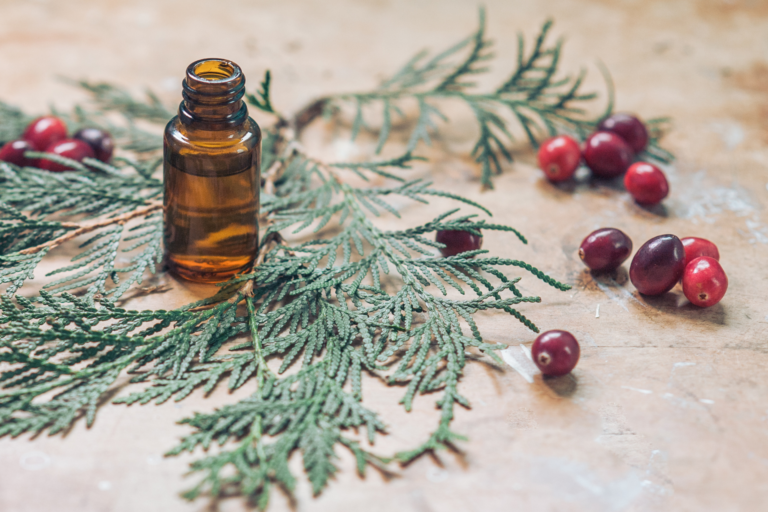 Les Huiles Essentielles : Votre Bouclier Naturel pour un Système Immunitaire Fortifié